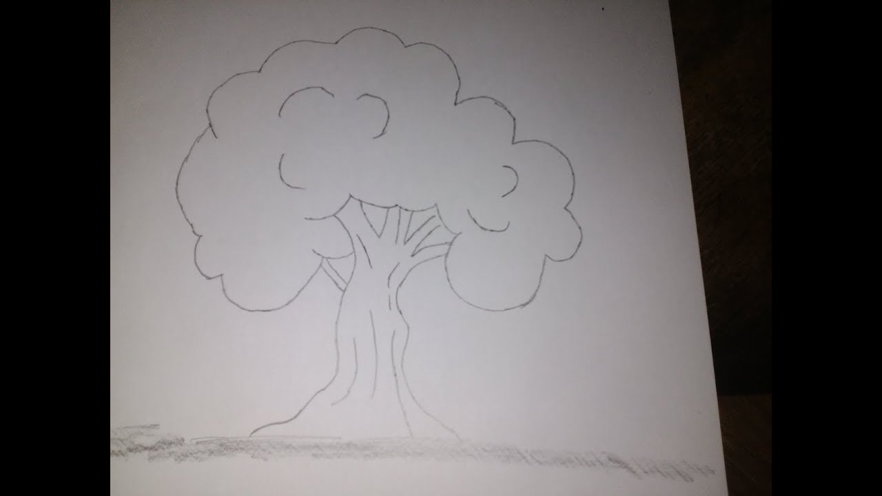 افضل الرسومات بالرصاص رسم شجرة للاشجار