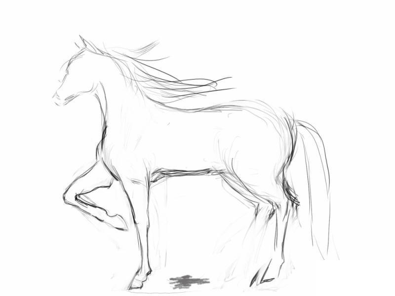 الرسومات حصان رسم كيفية نتعلم يلا