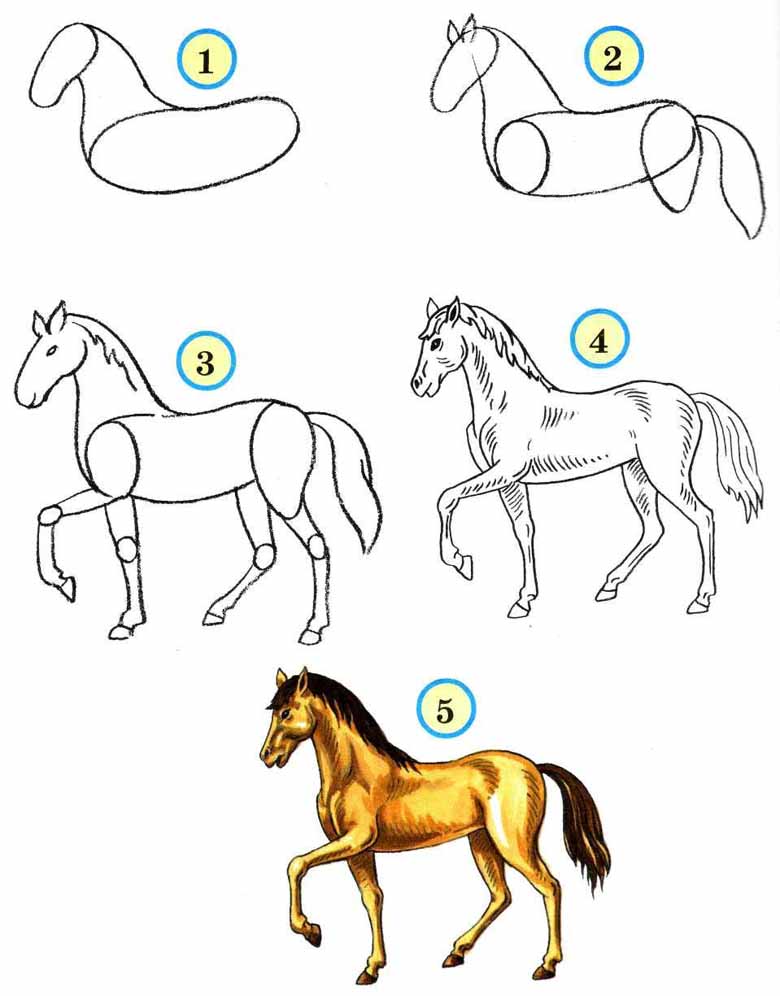 الرسومات حصان رسم كيفية نتعلم يلا