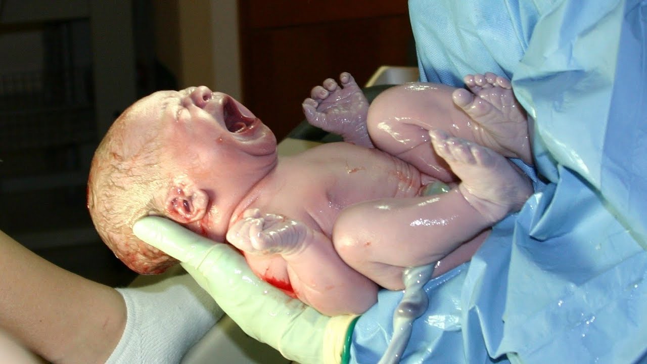 الولاده بخطوه جدا خطوه طبيعية فيديو فيديوهات لحظه مختلفه ولادة